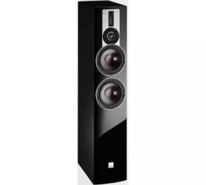 Dali Rubicon 6 von Dali