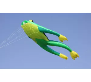 Wolkenstürmer Fritz the Frog von Wolkenstürmer
