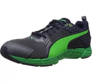 Puma Synthesis von PUMA
