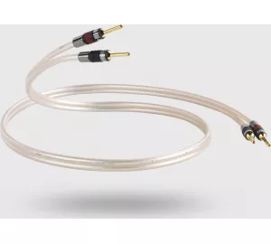 QED Reference XT40 von QED